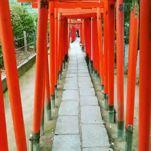 根津神社の鳥居