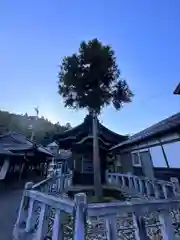 瘡山神社(滋賀県)