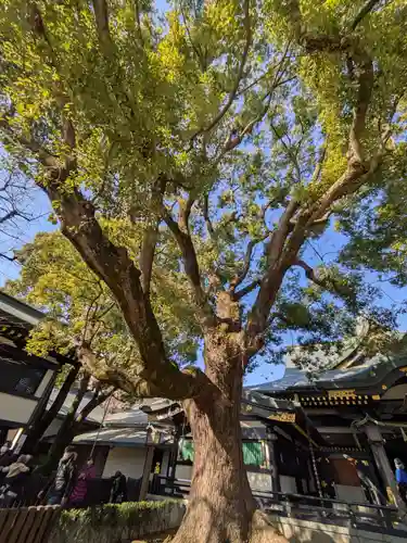 穴八幡宮(東京都)