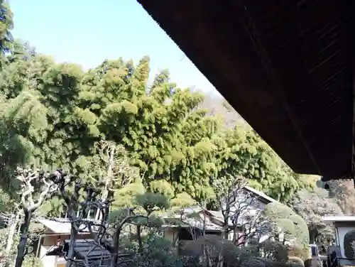 茂林寺(群馬県)