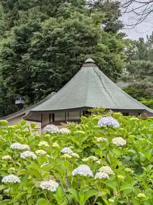 妙法寺(東京都)