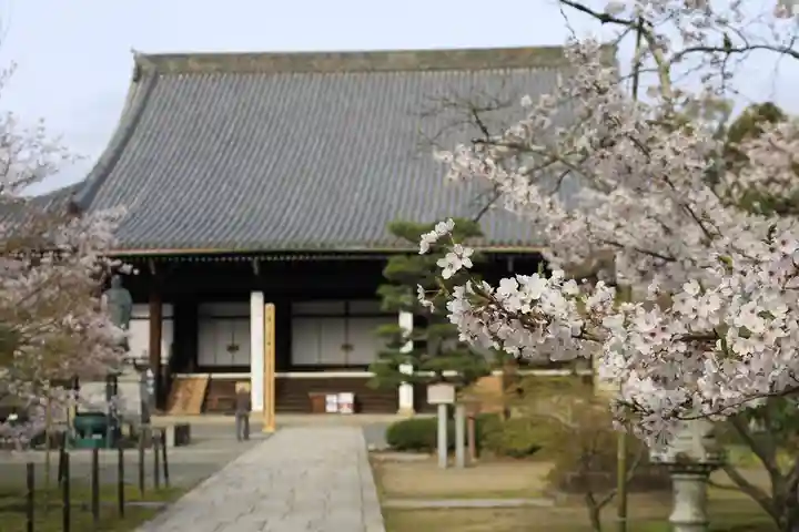 光明寺(粟生光明寺)(京都府)
