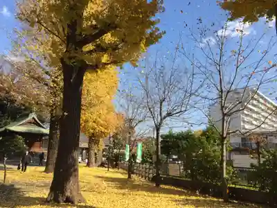 平塚神社のその他建物