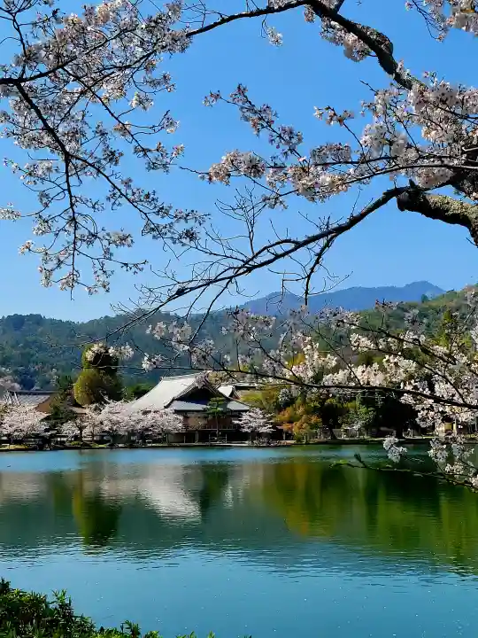 大覚寺の{uncategorized: "未分類", other: "その他", undefined: "問題あり", building: "その他建物", grave: "お墓", sacred_gate: "鳥居", guardian: "狛犬", statue: "像", buddha: "仏像", history: "歴史", nature: "自然", garden: "庭園", animal: "動物", pagoda: "塔", temizu: "手水舎", mountain_gate: "山門・神門", sanctuary: "本殿・本堂", subordinate: "末社・摂社", art: "芸術", scenery: "景色", jizo: "地蔵", ema: "絵馬", goshuin: "御朱印", omikuji: "おみくじ", items: "授与品その他", amulet: "お守り", goshuincho: "御朱印帳", eats: "食事", festival: "お祭り", votive_dance: "神楽", shichigosan: "七五三参", wedding: "結婚式", experience: "体験その他", initially: "初詣", around: "周辺", anti_infection: "感染症対策"}
