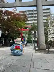 彌彦神社　(伊夜日子神社)(北海道)