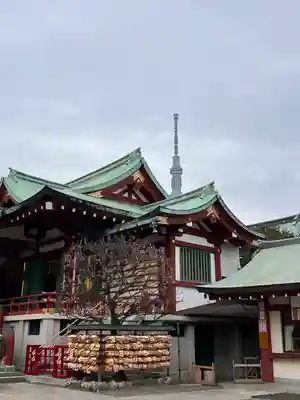 亀戸天神社の本殿・本堂