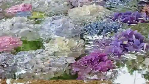 鶴岡八幡宮の手水舎