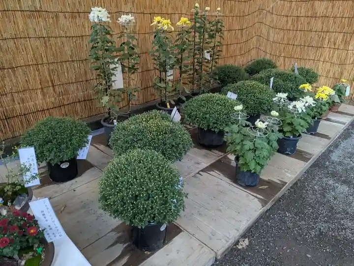 明治神宮(東京都)