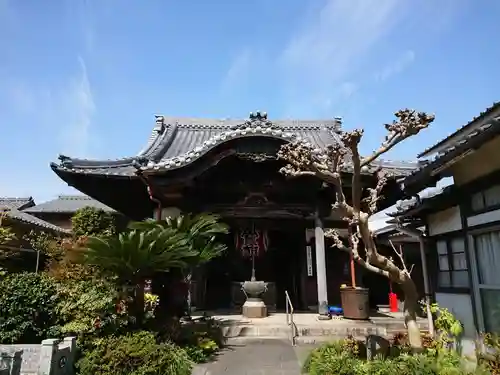 浄誓院の本殿・本堂