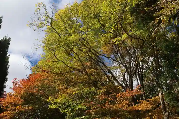 磐椅神社の自然