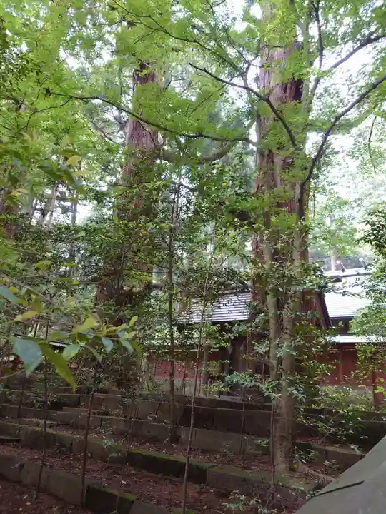 赤城神社(三夜沢町)の自然