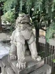 天祖神社の狛犬