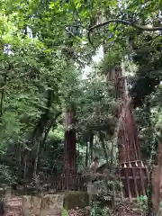 八重垣神社(島根県)