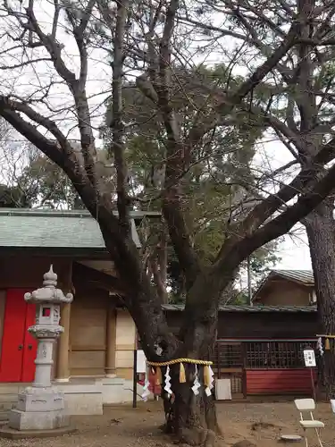 前原御嶽神社(千葉県)