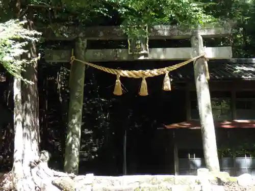 日月神社の鳥居