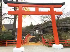 賀茂御祖神社（下鴨神社）の鳥居