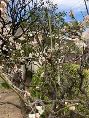 東光寺(神奈川県)