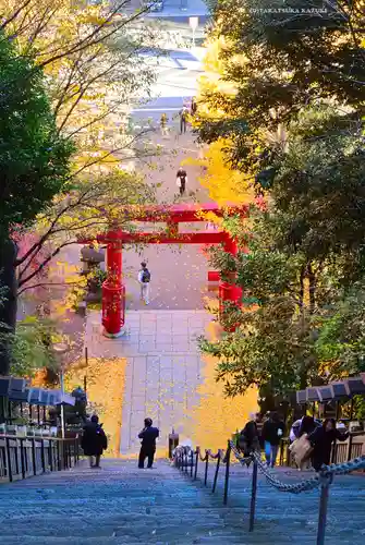 愛宕神社(東京都)