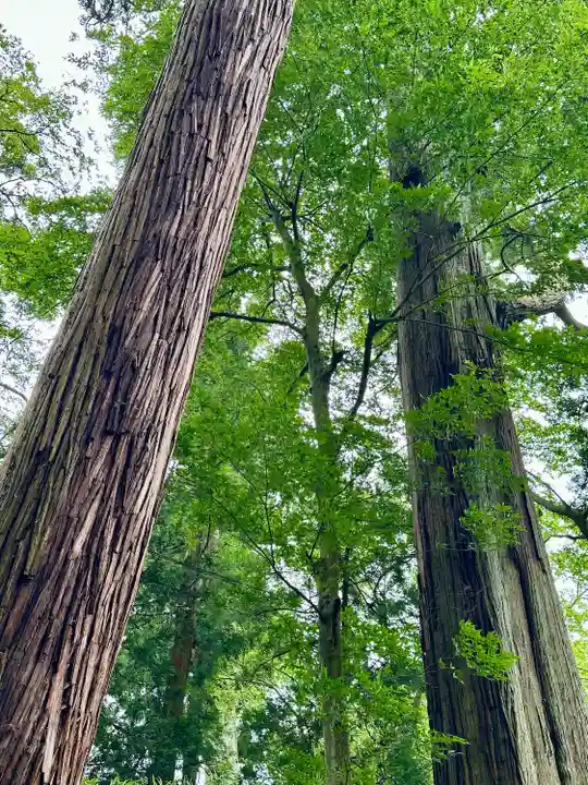 笠森寺(千葉県)