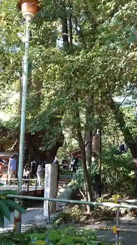 來宮神社のその他建物