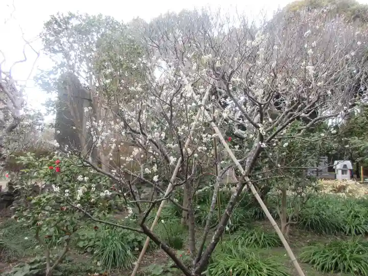 宝戒寺(神奈川県)