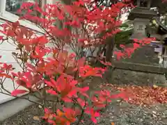 彌彦神社　(伊夜日子神社)(北海道)