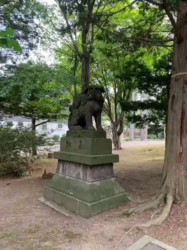 北広島市総鎮守　廣島神社の狛犬