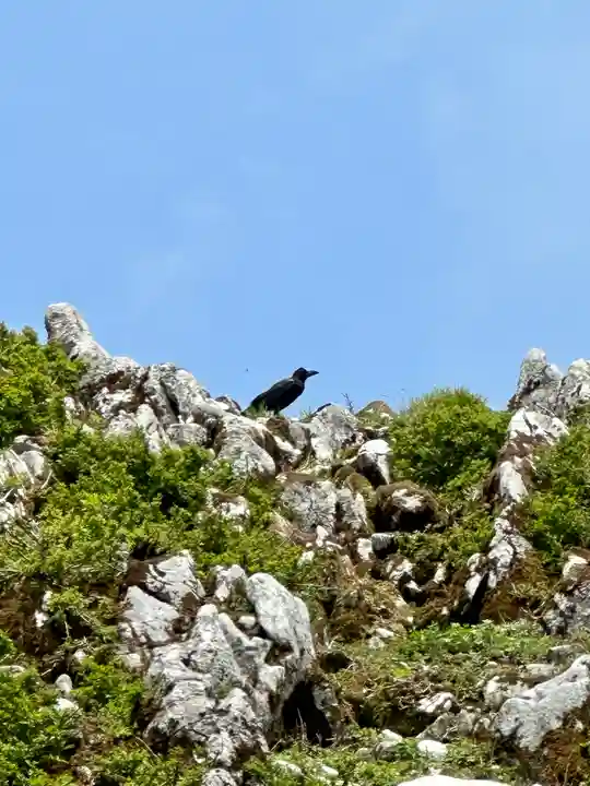 伊吹山(霊峰)(滋賀県)