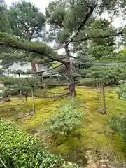 大仙院(京都府)