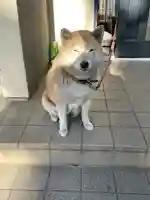 笠䅣稲荷神社(神奈川県)