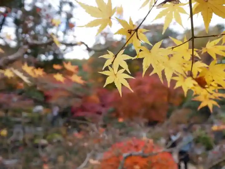 洞窟観音・徳明園・山徳記念館の景色