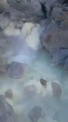 温泉神社の自然