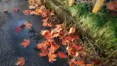 尾張大國霊神社（国府宮）の周辺