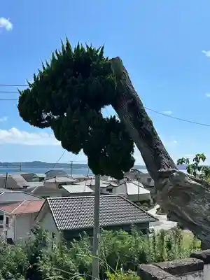 大福寺(千葉県)