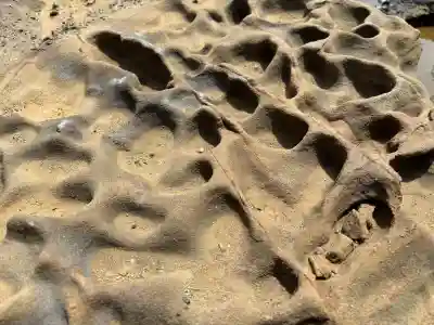 波立寺（波立薬師）の{uncategorized: "未分類", other: "その他", undefined: "問題あり", building: "その他建物", grave: "お墓", sacred_gate: "鳥居", guardian: "狛犬", statue: "像", buddha: "仏像", history: "歴史", nature: "自然", garden: "庭園", animal: "動物", pagoda: "塔", temizu: "手水舎", mountain_gate: "山門・神門", sanctuary: "本殿・本堂", subordinate: "末社・摂社", art: "芸術", scenery: "景色", jizo: "地蔵", ema: "絵馬", goshuin: "御朱印", omikuji: "おみくじ", items: "授与品その他", amulet: "お守り", goshuincho: "御朱印帳", eats: "食事", festival: "お祭り", votive_dance: "神楽", shichigosan: "七五三参", wedding: "結婚式", experience: "体験その他", initially: "初詣", around: "周辺", anti_infection: "感染症対策"}