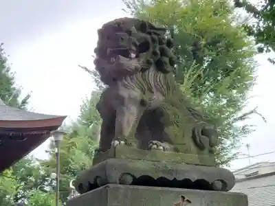 滝野川八幡神社の狛犬