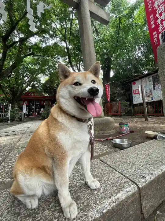 笠䅣稲荷神社(神奈川県)