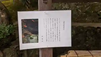 榮攝院（栄摂院）(京都府)
