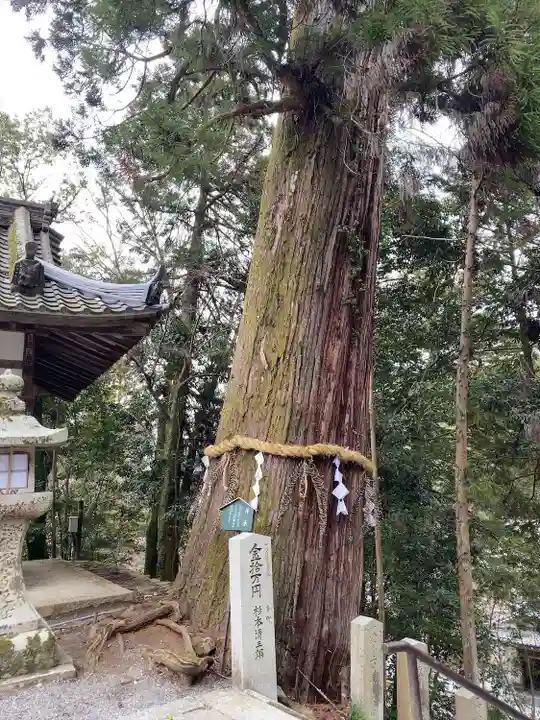 石山寺(滋賀県)