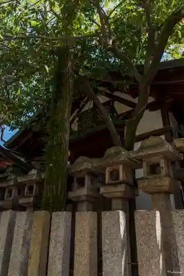 石切劔箭神社(大阪府)