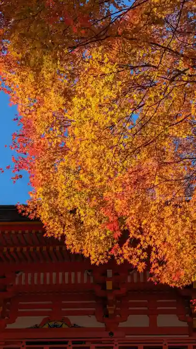 近江神宮(滋賀県)