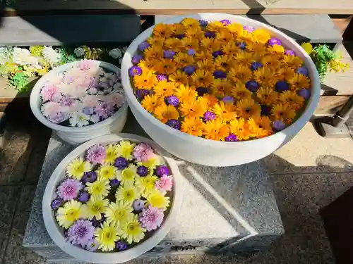 法輪寺(東京都)