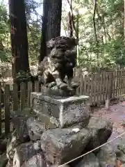 椿大神社の狛犬