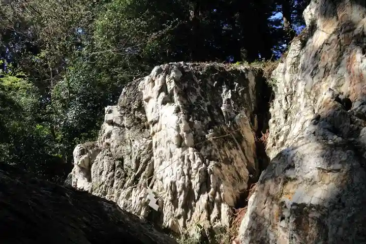 鹿島大神宮の自然