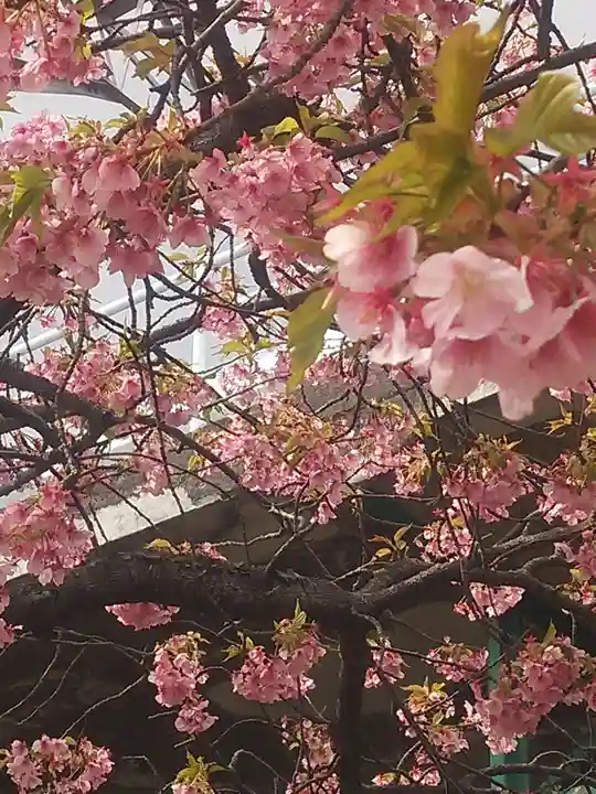 修禅寺(静岡県)