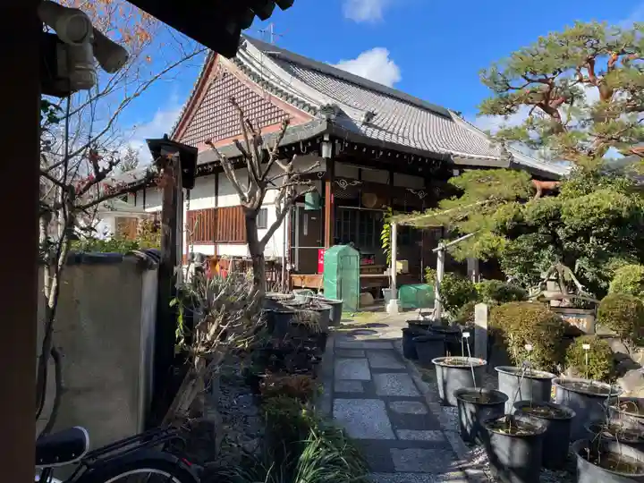金蔵寺(京都府)
