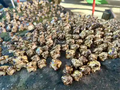 渋川八幡宮(群馬県)