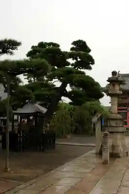 葛井寺のその他建物