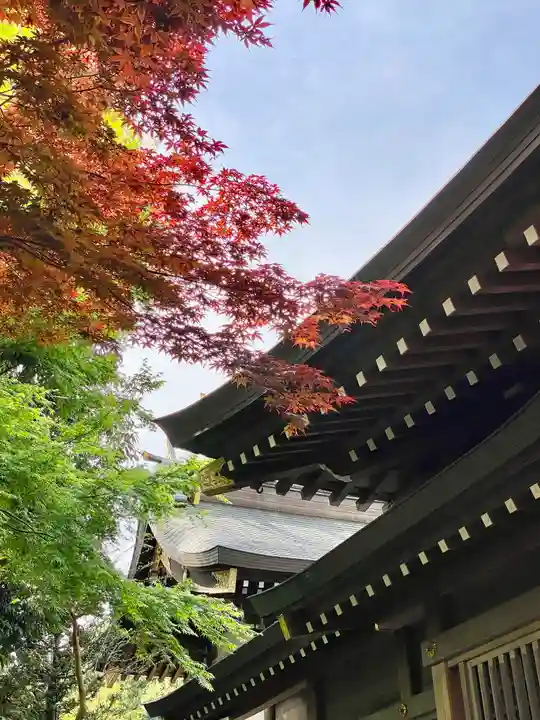 青渭神社(東京都)