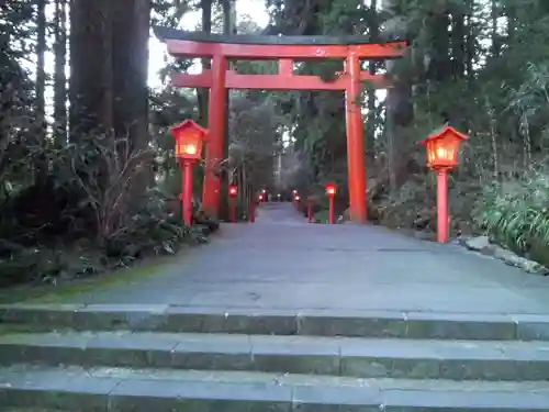 箱根神社の鳥居